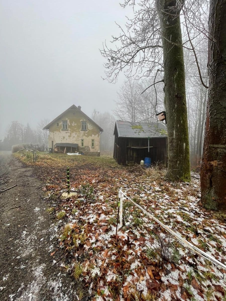 Prodej chaty, chalupy 111 m², pozemek 569 m², Mikulášovice, Ústecký kraj Prodej chaty, chalupy 111 m², pozemek 569 m², Mikulášovice, Ústecký kraj