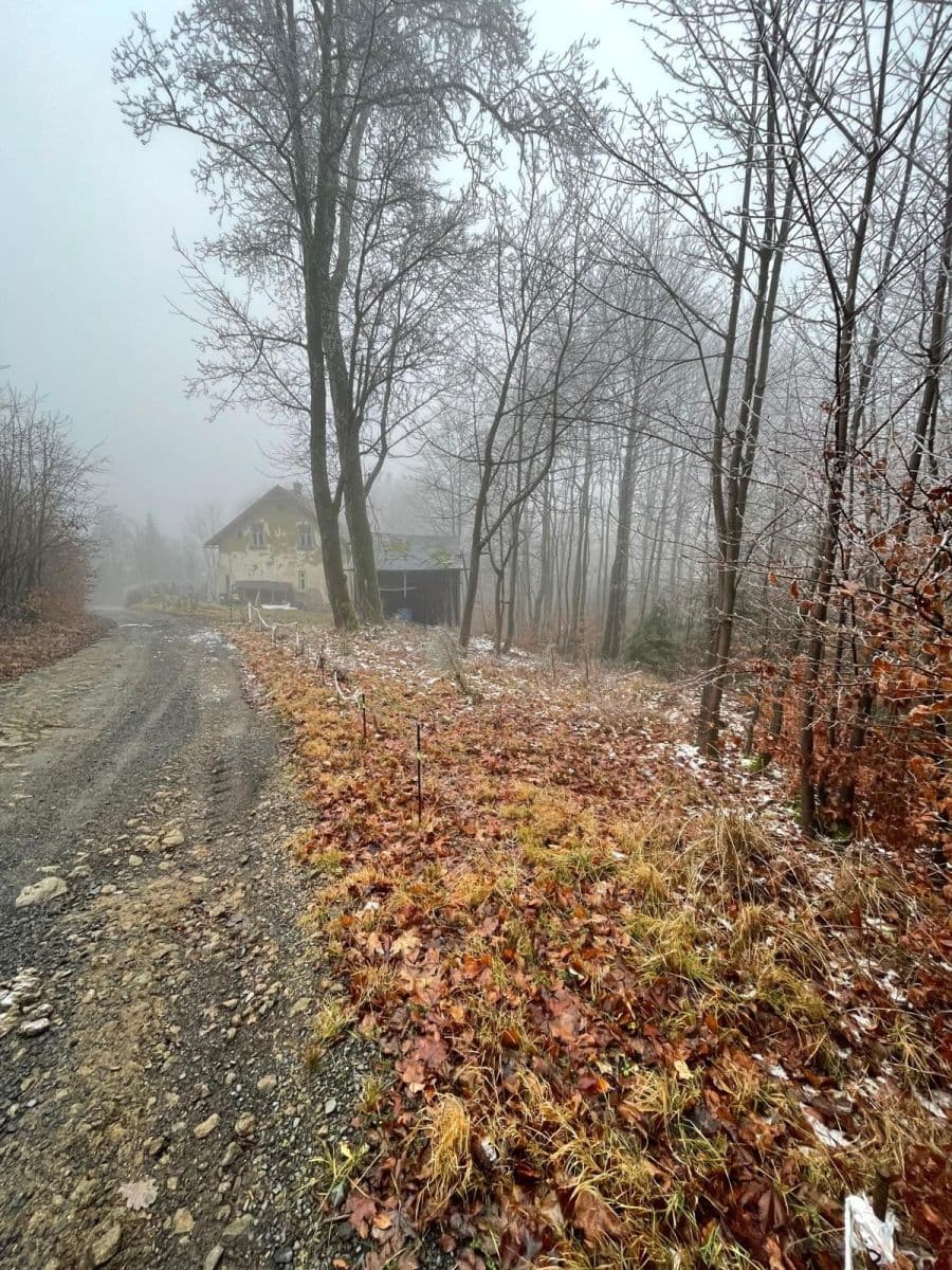 Prodej chaty, chalupy 111 m², pozemek 569 m², Mikulášovice, Ústecký kraj Prodej chaty, chalupy 111 m², pozemek 569 m², Mikulášovice, Ústecký kraj