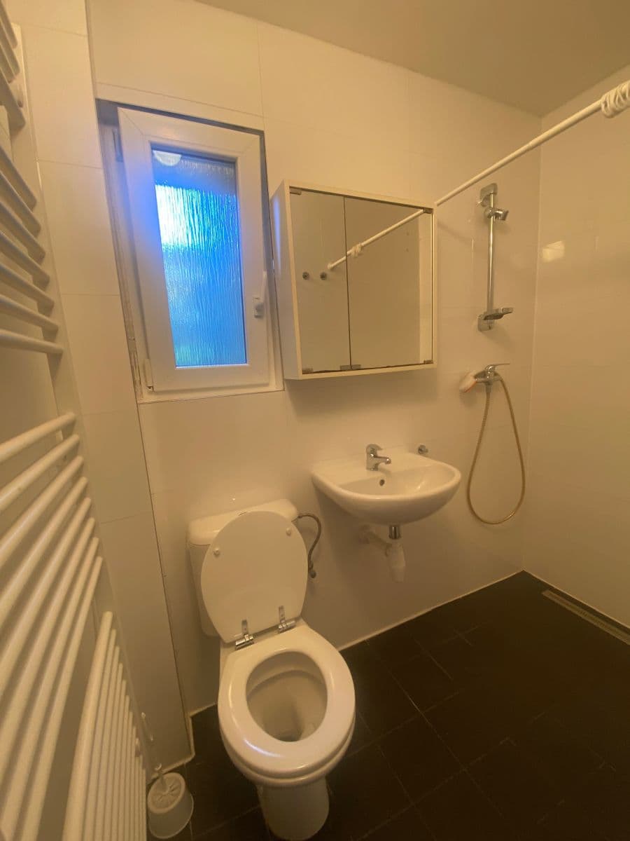 Pronájem bytu 2+1 68 m², Na Vysočanských vinicích, Praha, Praha Pronájem bytu 2+1 68 m², Na Vysočanských vinicích, Praha, Praha