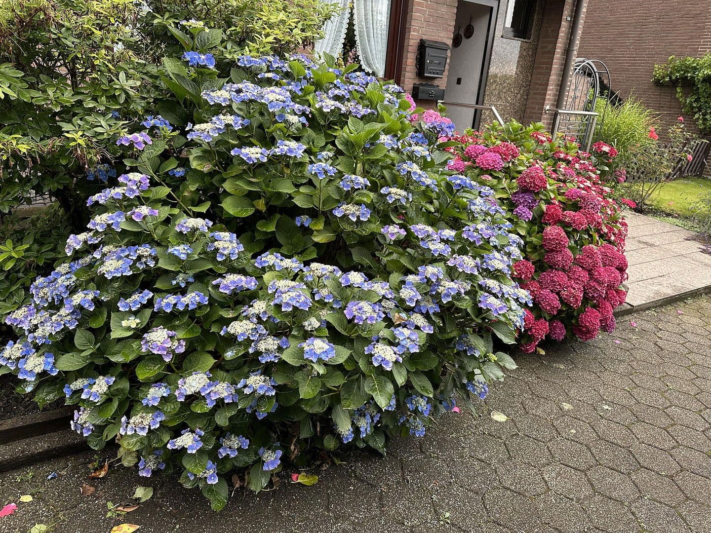 Prodej domu 145 m², pozemek 280 m², Essen, Severní Porýní-Vestfálsko Prodej domu 145 m², pozemek 280 m², Essen, Severní Porýní-Vestfálsko