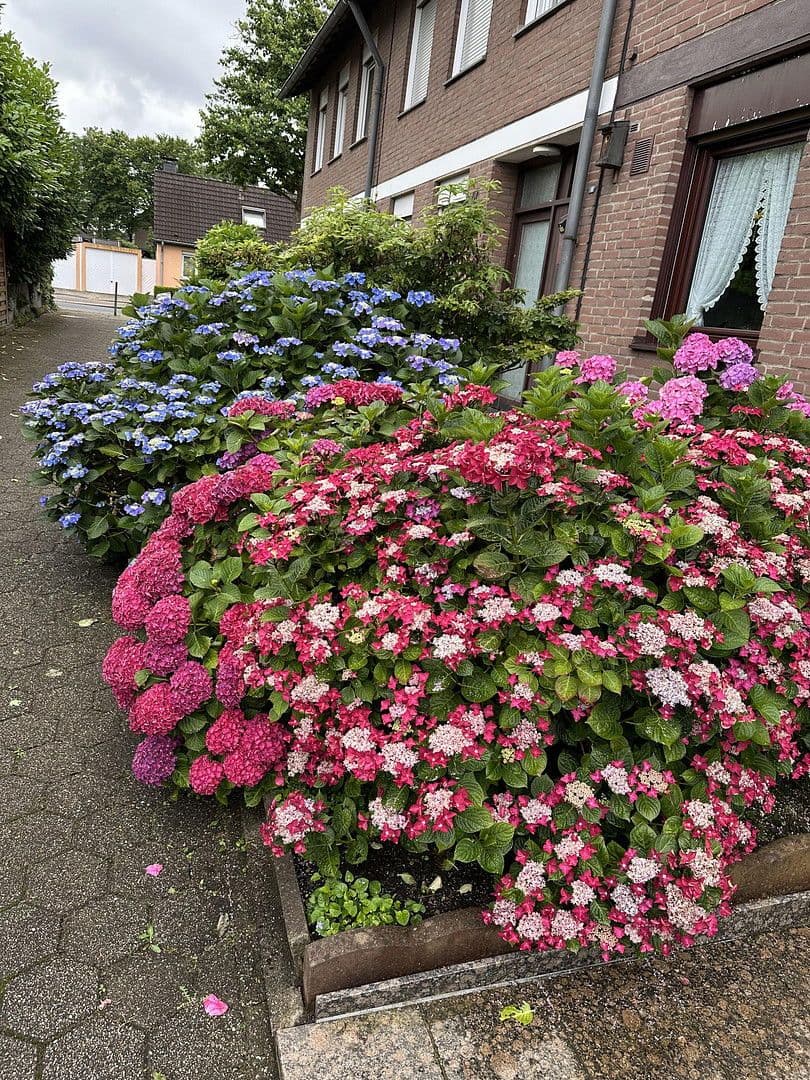 Prodej domu 145 m², pozemek 280 m², Essen, Severní Porýní-Vestfálsko Prodej domu 145 m², pozemek 280 m², Essen, Severní Porýní-Vestfálsko