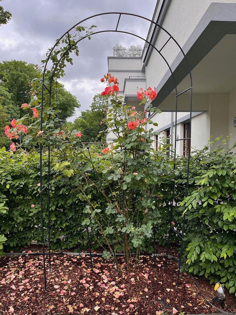 Pronájem bytu 3+kk 100 m², Berlin, Berlín Pronájem bytu 3+kk 100 m², Berlin, Berlín