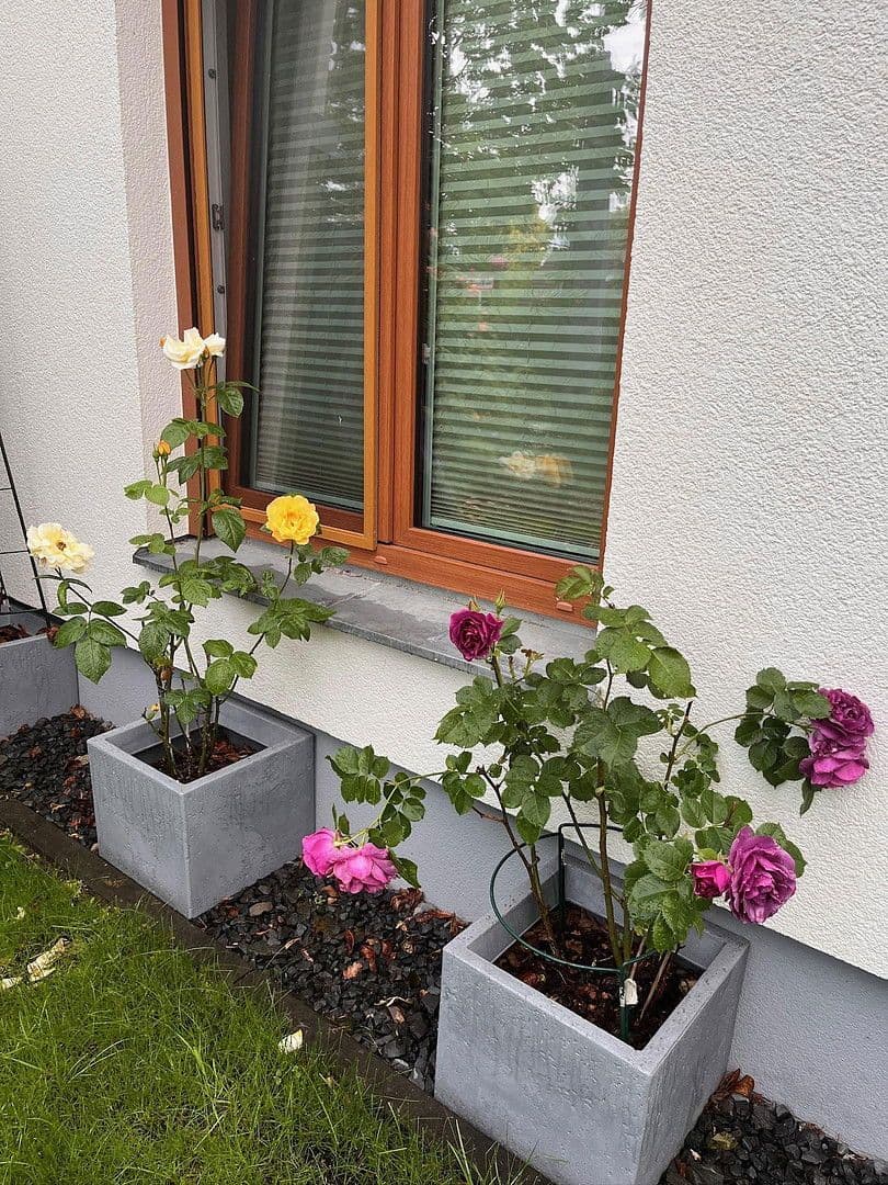 Prodej bytu 3+kk 100 m², Berlin, Berlín Prodej bytu 3+kk 100 m², Berlin, Berlín