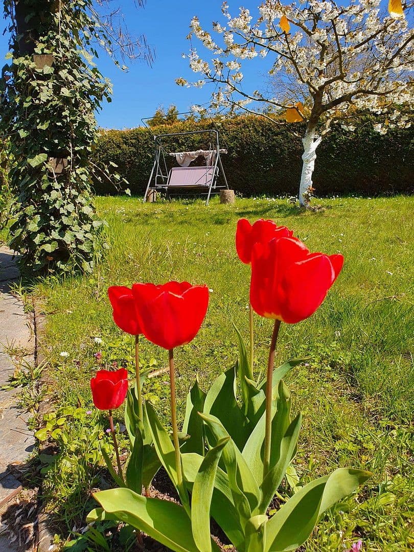 Prodej domu 45 m², pozemek 375 m², An der Wehme 12d, Havelsee, Braniborsko Prodej domu 45 m², pozemek 375 m², An der Wehme 12d, Havelsee, Braniborsko