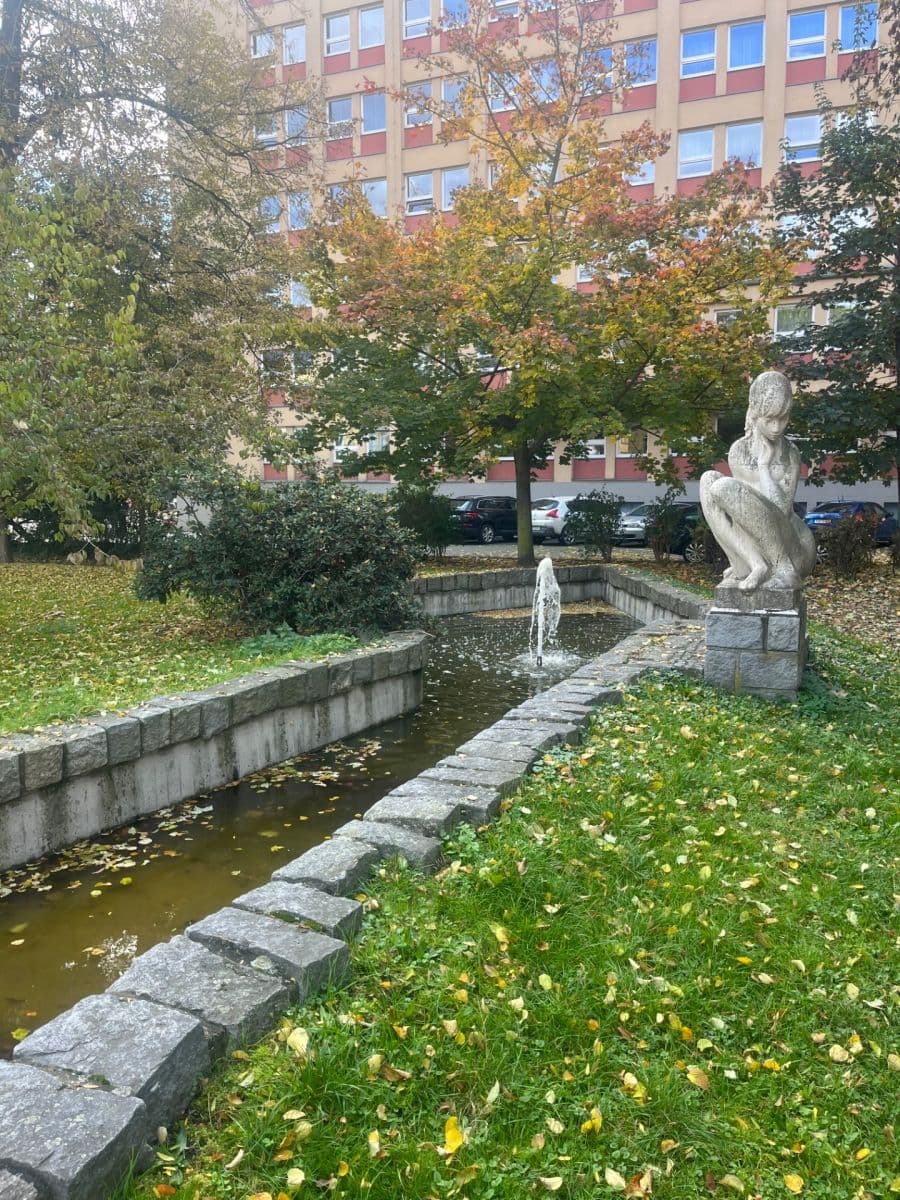 Pronájem bytu 2+1 51 m², Masarykova třída, Opava, Moravskoslezský kraj Pronájem bytu 2+1 51 m², Masarykova třída, Opava, Moravskoslezský kraj