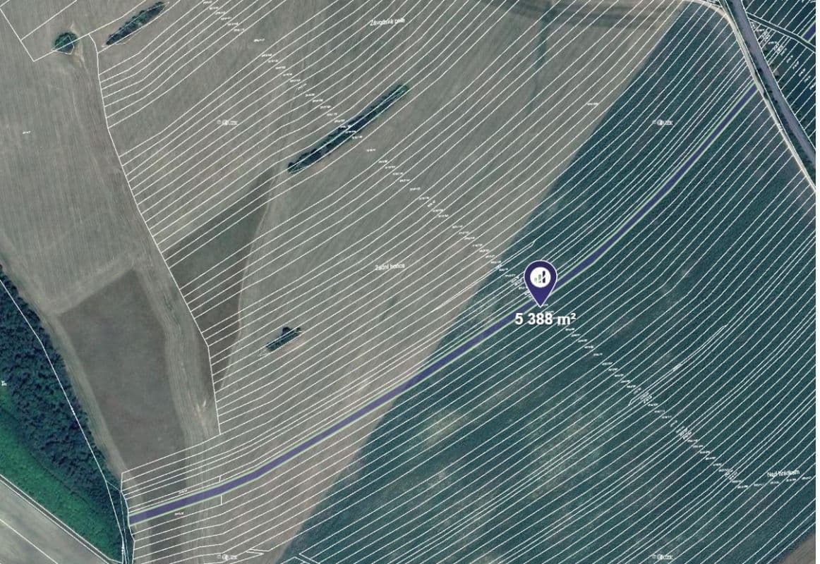 Prodej pozemku 60.562 m², Javorník, Jihomoravský kraj Prodej pozemku 60.562 m², Javorník, Jihomoravský kraj