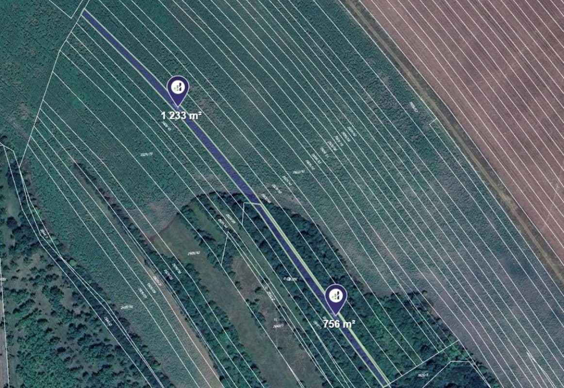 Prodej pozemku 60.562 m², Javorník, Jihomoravský kraj Prodej pozemku 60.562 m², Javorník, Jihomoravský kraj