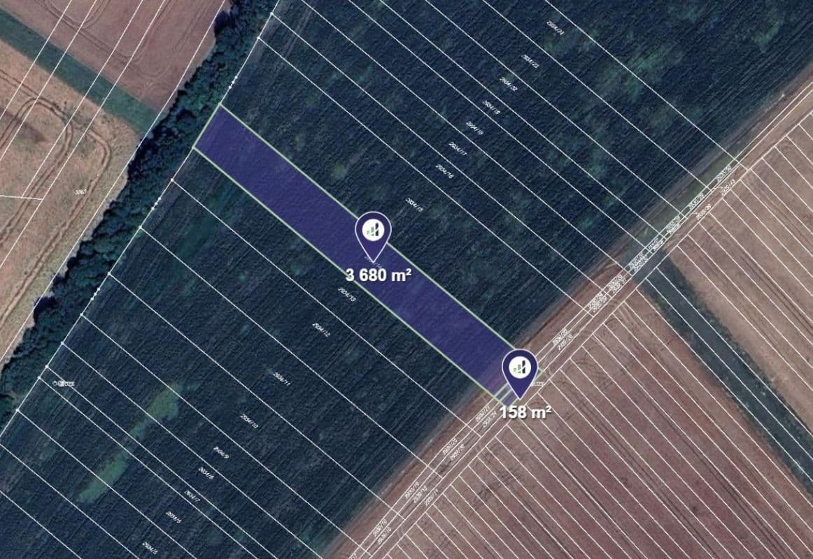 Prodej pozemku 60.562 m², Javorník, Jihomoravský kraj Prodej pozemku 60.562 m², Javorník, Jihomoravský kraj