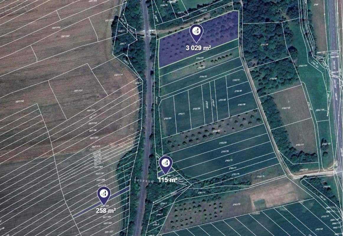 Prodej pozemku 60.562 m², Javorník, Jihomoravský kraj Prodej pozemku 60.562 m², Javorník, Jihomoravský kraj