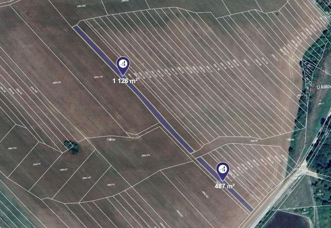 Prodej pozemku 60.562 m², Javorník, Jihomoravský kraj Prodej pozemku 60.562 m², Javorník, Jihomoravský kraj