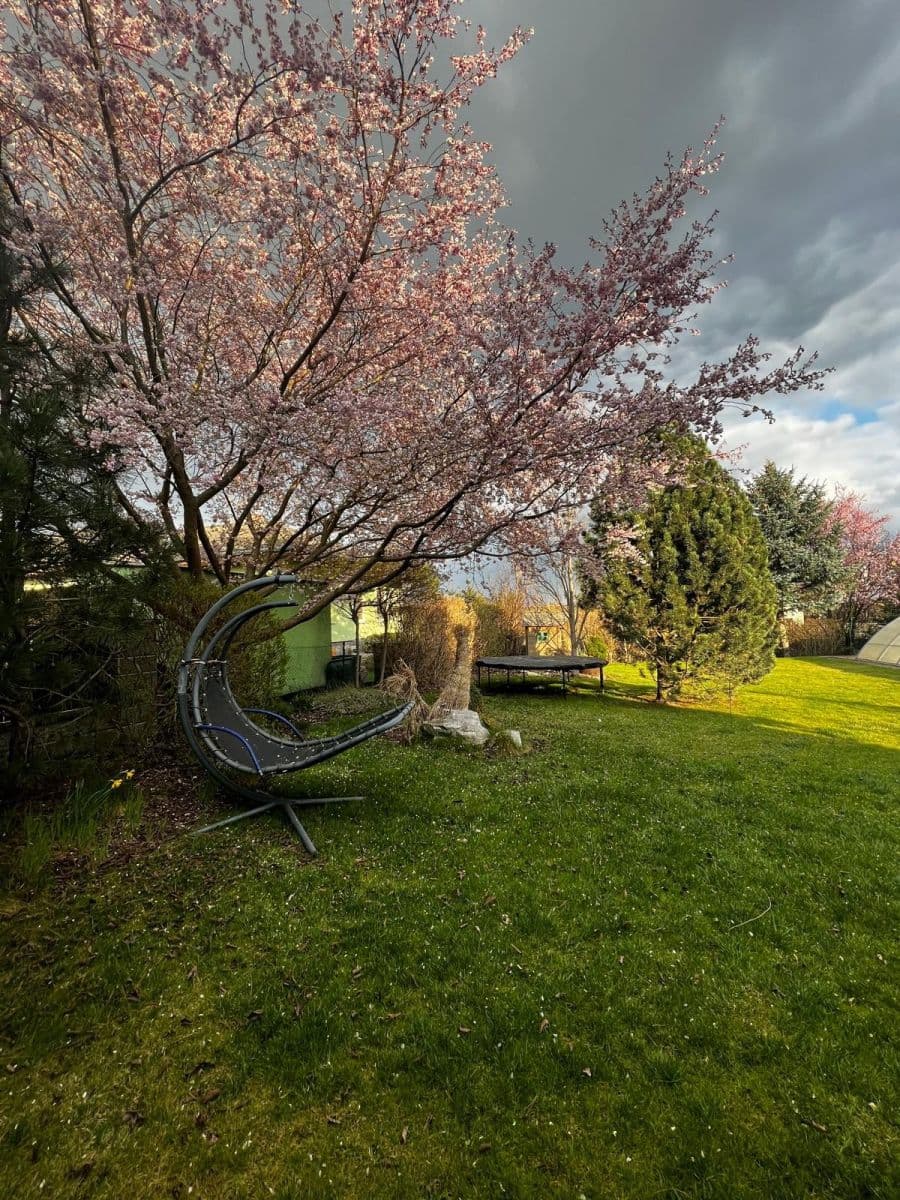 Pronájem domu 128 m², pozemek 1.200 m², V Pálce, Křenice, Středočeský kraj Pronájem domu 128 m², pozemek 1.200 m², V Pálce, Křenice, Středočeský kraj