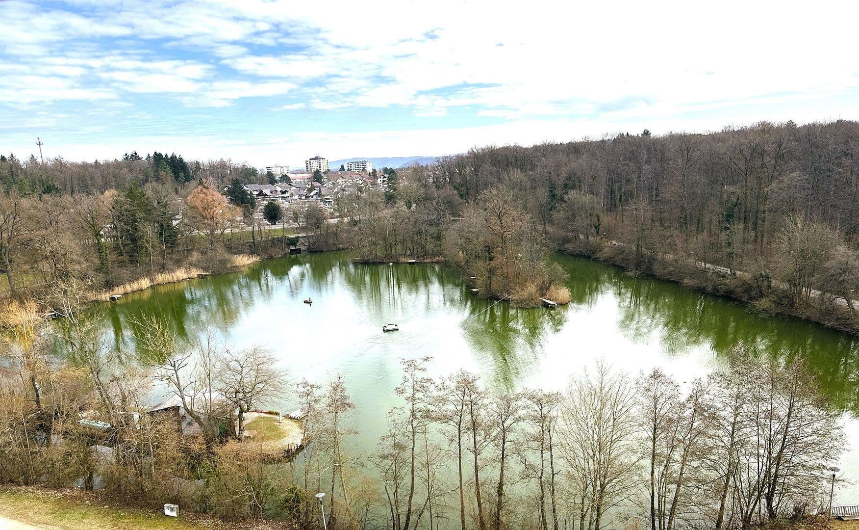 Pronájem bytu 2+kk 46 m², Fichtestr. 42, Singen (Hohentwiel), Bádensko-Württembersko Pronájem bytu 2+kk 46 m², Fichtestr. 42, Singen (Hohentwiel), Bádensko-Württembersko