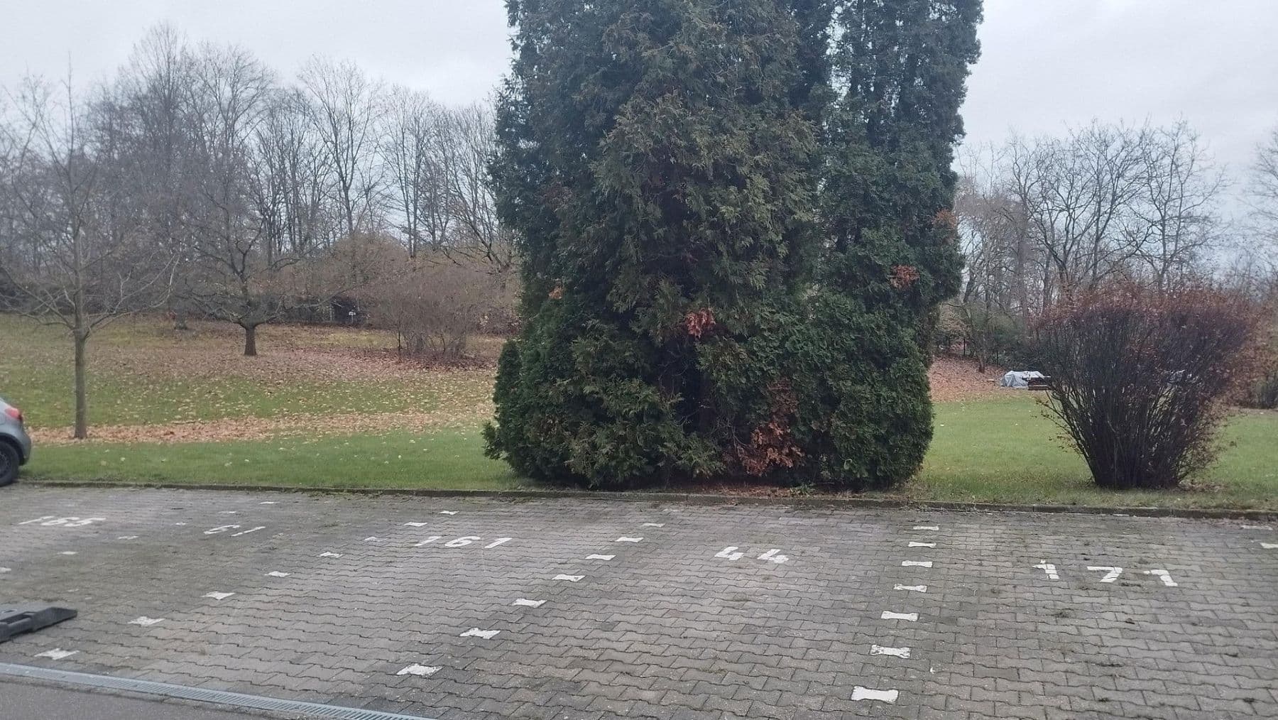 Prodej bytu 2+1 56 m², Mainz, Porýní-Falc Prodej bytu 2+1 56 m², Mainz, Porýní-Falc