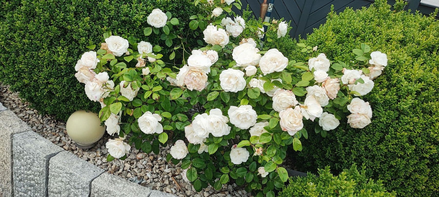 Prodej domu 340 m², pozemek 1.040 m², Schönberg (Holstein), Šlesvicko-Holštýnsko Prodej domu 340 m², pozemek 1.040 m², Schönberg (Holstein), Šlesvicko-Holštýnsko