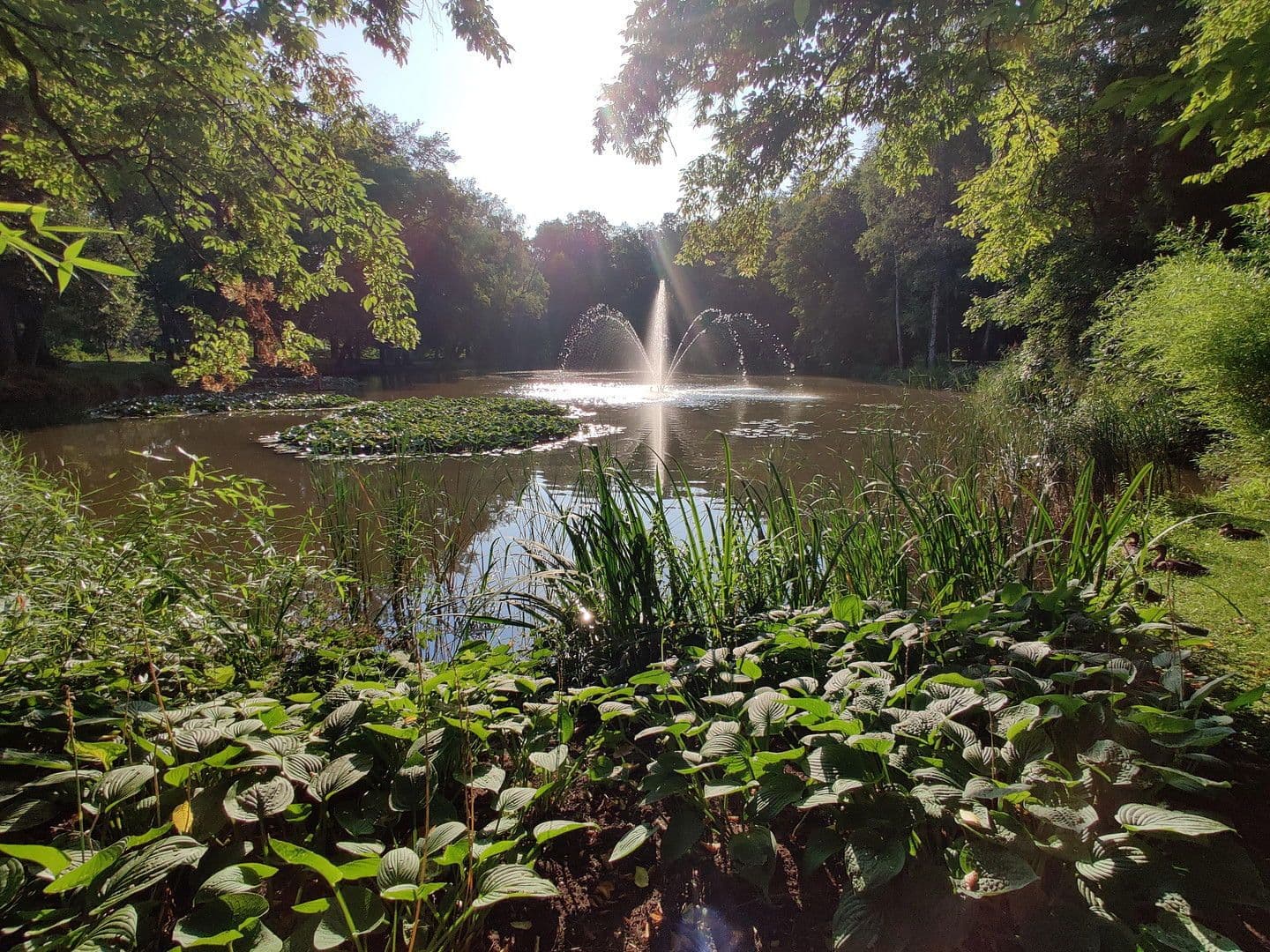 Prodej domu 146 m², pozemek 413 m², Bad Aibling, Bavorsko Prodej domu 146 m², pozemek 413 m², Bad Aibling, Bavorsko