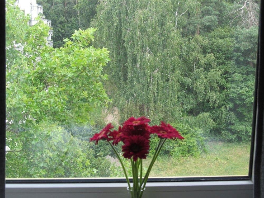 Pronájem bytu 2+1 48 m², Weidigweg 31, Darmstadt, Hessen Pronájem bytu 2+1 48 m², Weidigweg 31, Darmstadt, Hessen