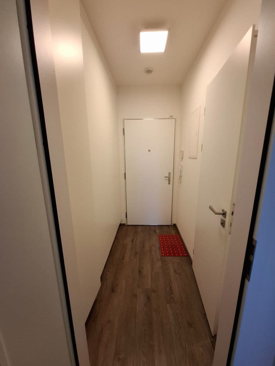 Pronájem bytu 1+kk 30 m², Švehlova, Praha, Praha Pronájem bytu 1+kk 30 m², Švehlova, Praha, Praha