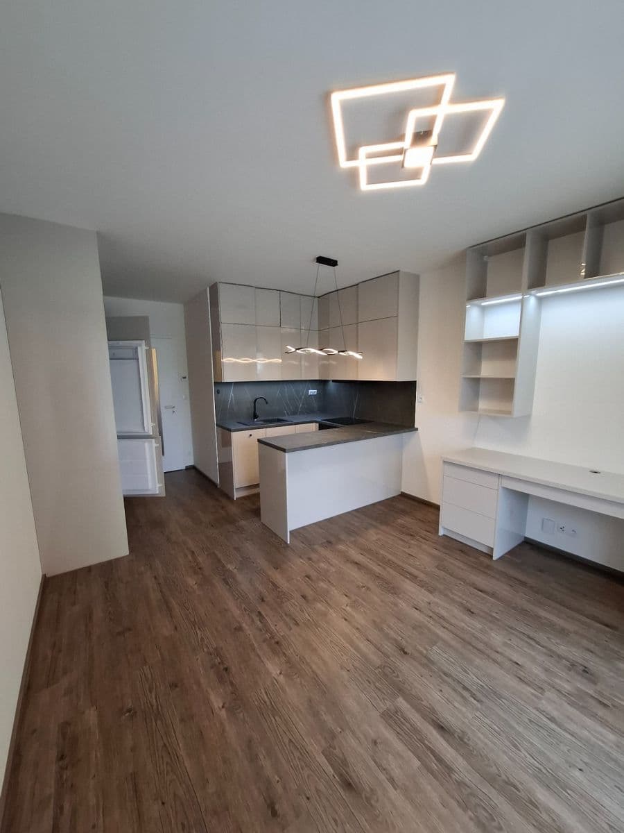 Pronájem bytu 1+kk 30 m², Švehlova, Praha, Praha Pronájem bytu 1+kk 30 m², Švehlova, Praha, Praha