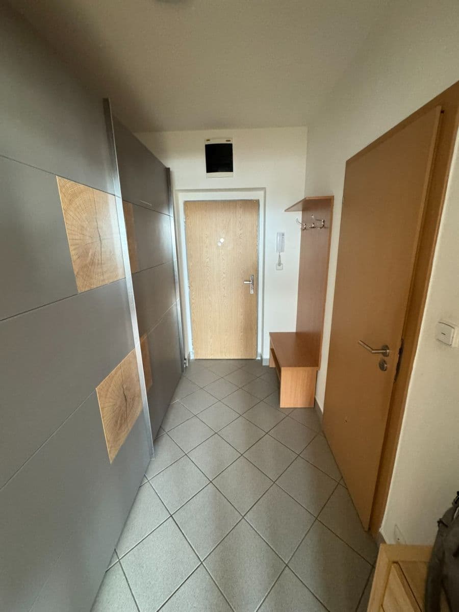 Pronájem bytu 1+kk 46 m², Dusíkova, Brno, Jihomoravský kraj Pronájem bytu 1+kk 46 m², Dusíkova, Brno, Jihomoravský kraj