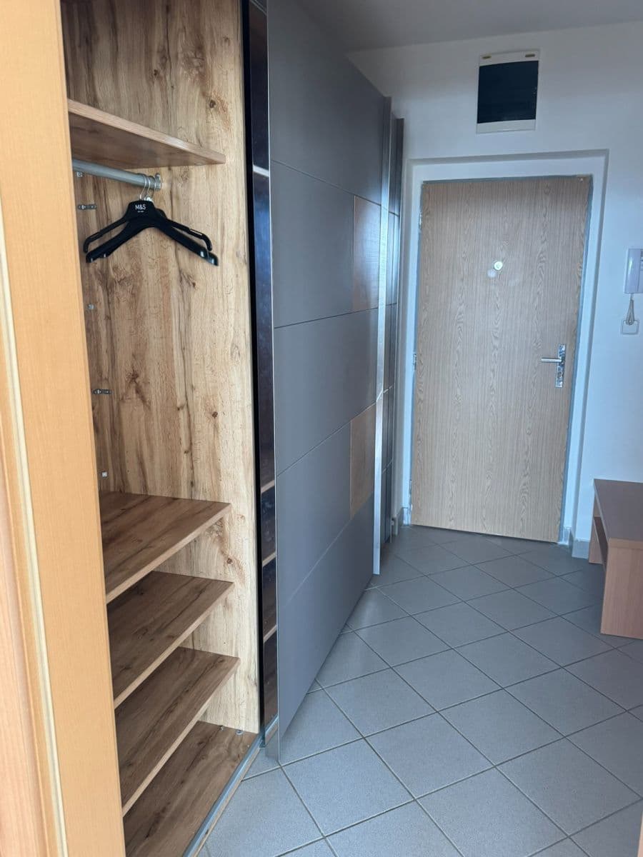 Pronájem bytu 1+kk 46 m², Dusíkova, Brno, Jihomoravský kraj Pronájem bytu 1+kk 46 m², Dusíkova, Brno, Jihomoravský kraj