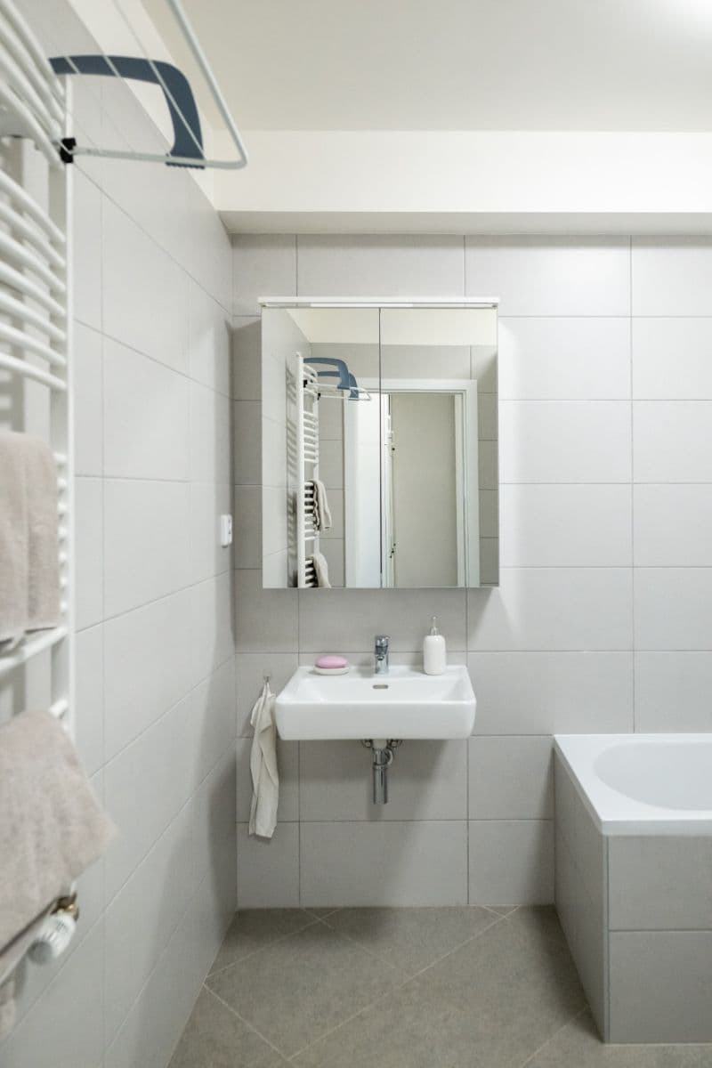 Pronájem bytu 1+kk 47 m², Baarové, Praha, Praha Pronájem bytu 1+kk 47 m², Baarové, Praha, Praha