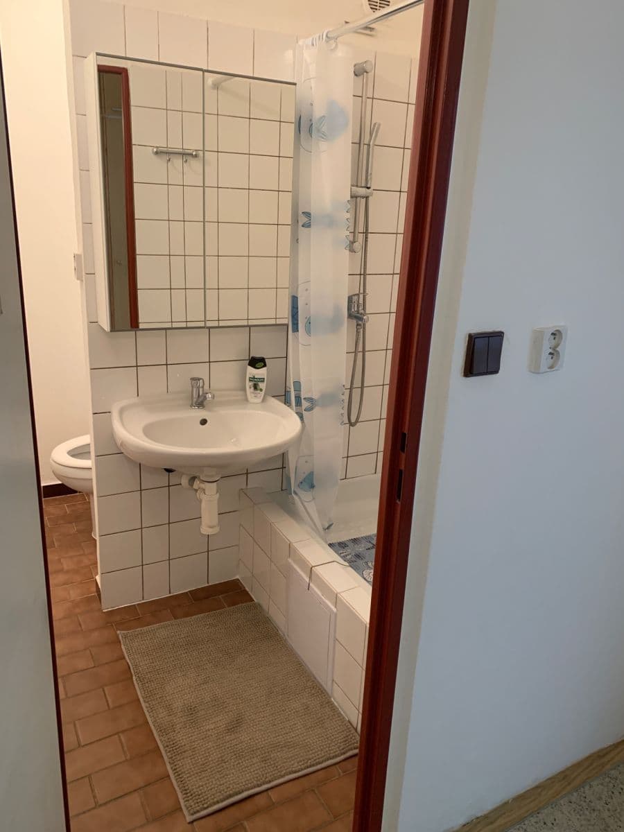 Pronájem bytu 1+kk 32 m², Hodonínská, Plzeň, Plzeňský kraj Pronájem bytu 1+kk 32 m², Hodonínská, Plzeň, Plzeňský kraj