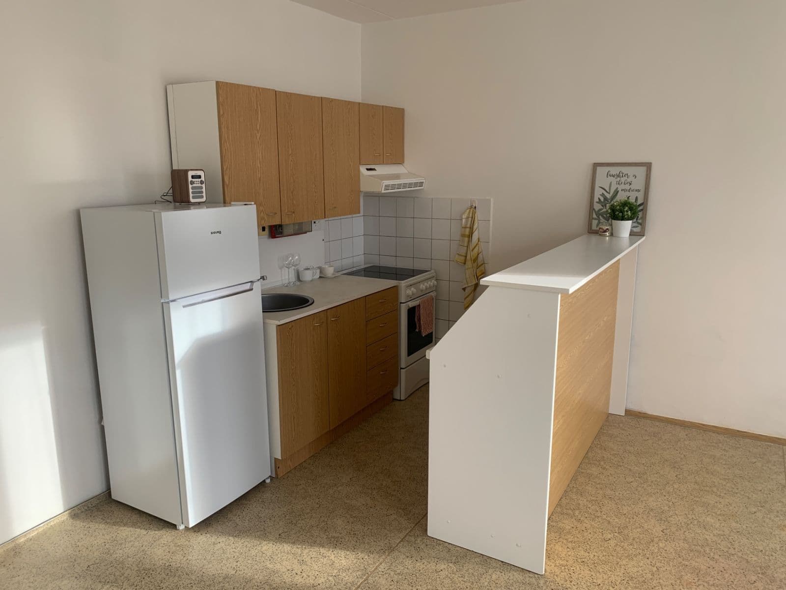 Pronájem bytu 1+kk 32 m², Hodonínská, Plzeň, Plzeňský kraj Pronájem bytu 1+kk 32 m², Hodonínská, Plzeň, Plzeňský kraj