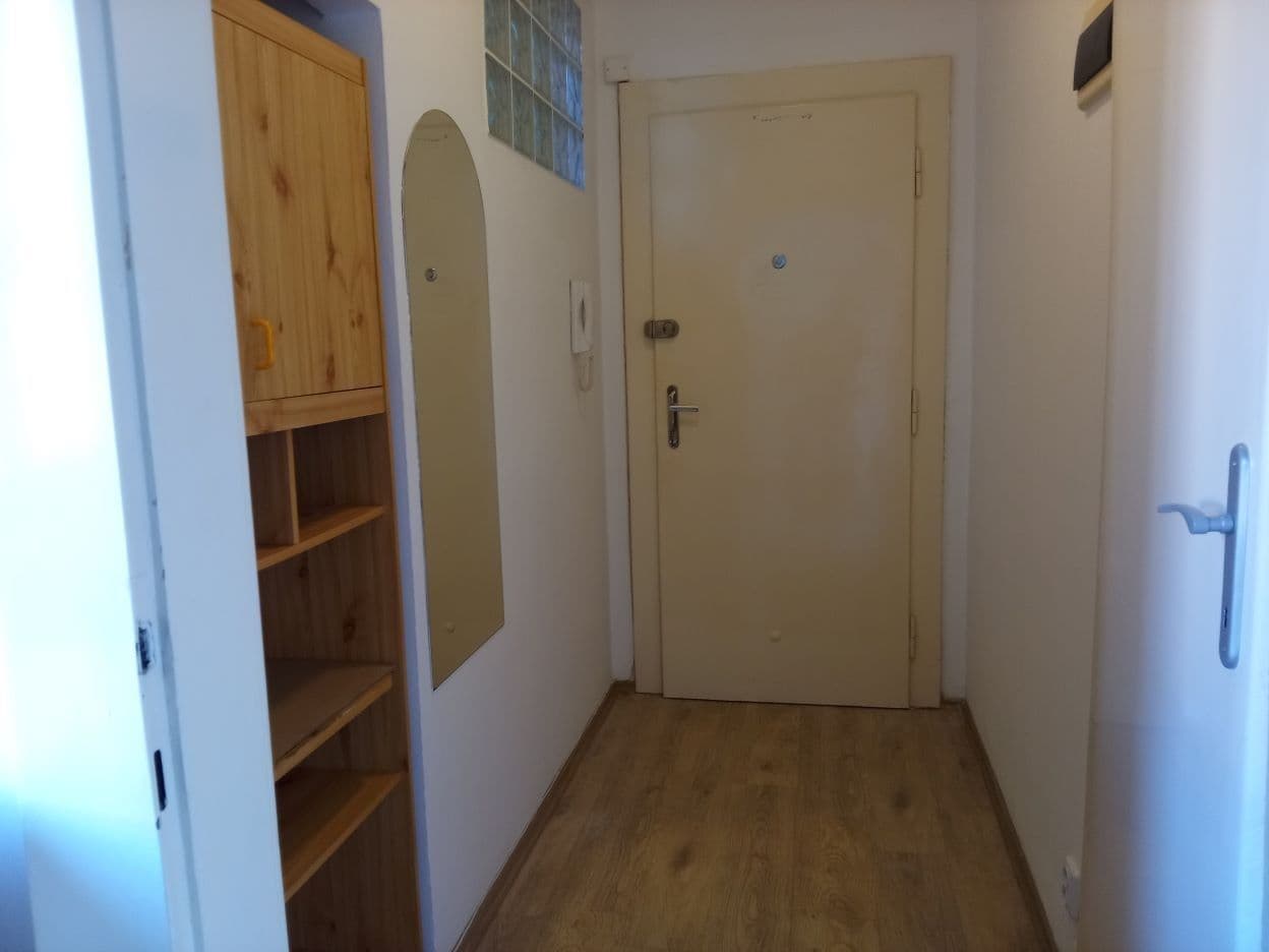 Pronájem bytu 1+1 42 m², Ke Strašnické, Praha, Praha Pronájem bytu 1+1 42 m², Ke Strašnické, Praha, Praha