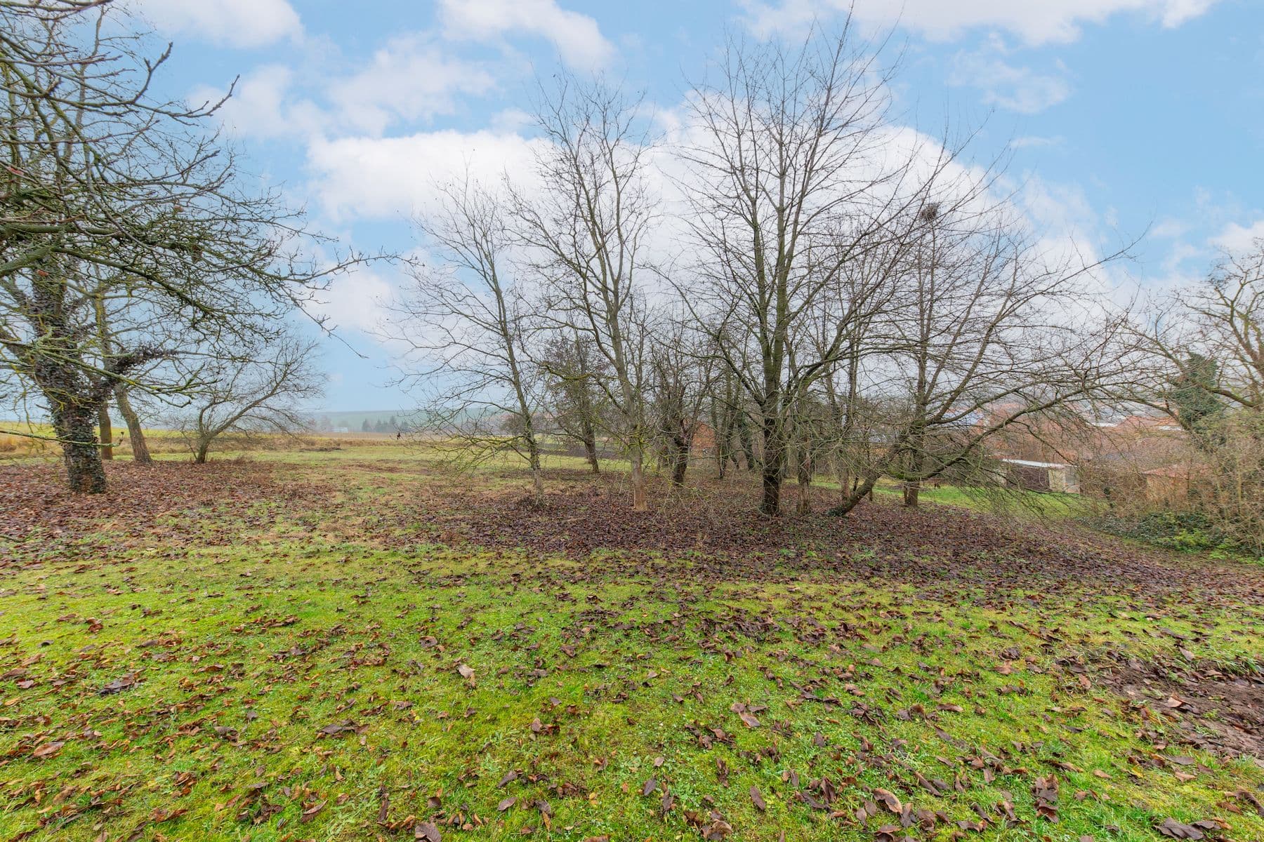 Prodej domu 150 m², pozemek 1.473 m², Skalka, Olomoucký kraj Prodej domu 150 m², pozemek 1.473 m², Skalka, Olomoucký kraj