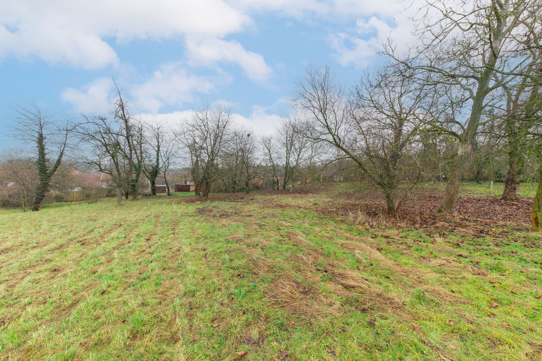 Prodej domu 150 m², pozemek 1.473 m², Skalka, Olomoucký kraj Prodej domu 150 m², pozemek 1.473 m², Skalka, Olomoucký kraj