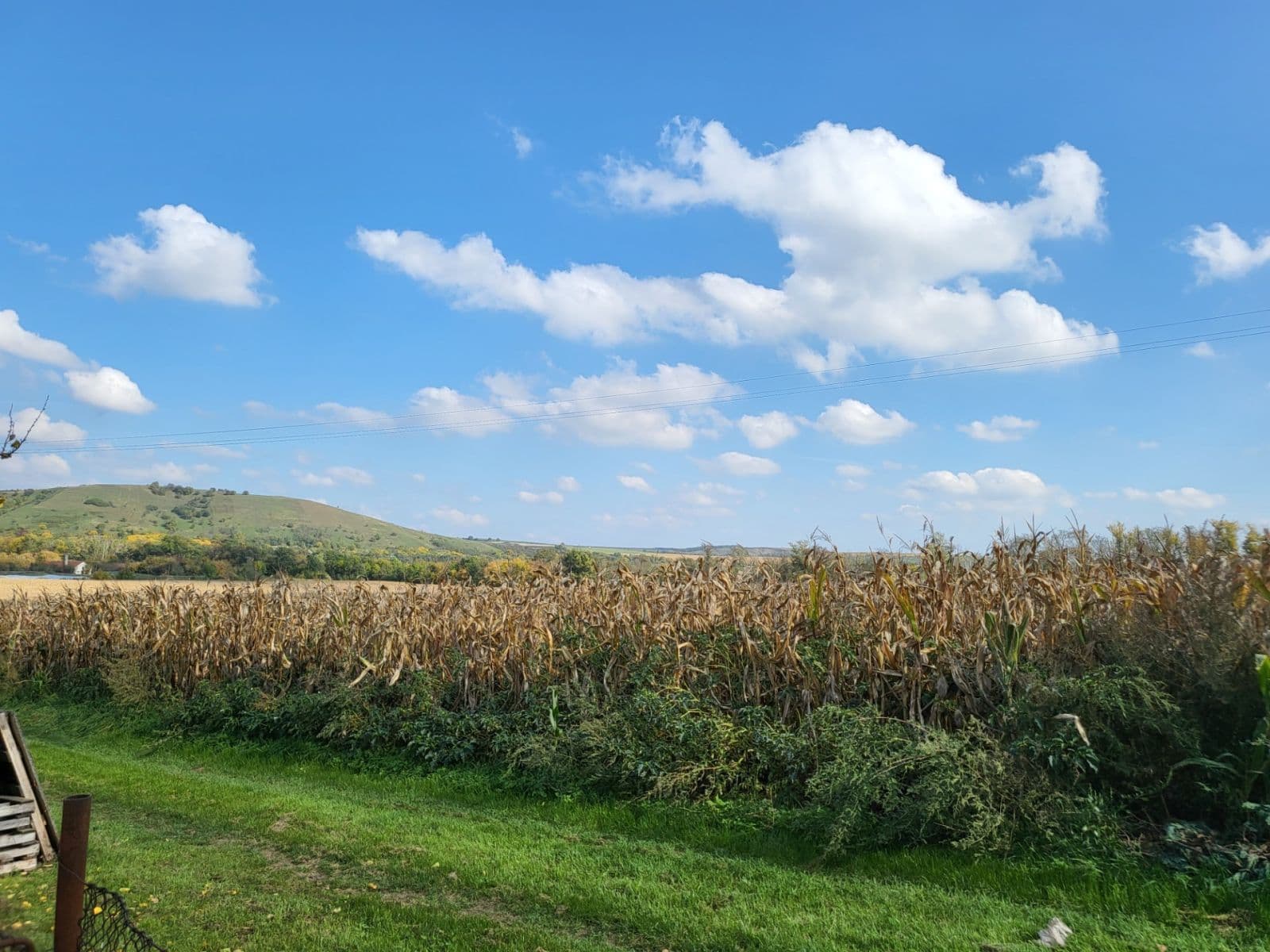 Prodej pozemku 506 m², Zadní, Pouzdřany, Jihomoravský kraj Prodej pozemku 506 m², Zadní, Pouzdřany, Jihomoravský kraj