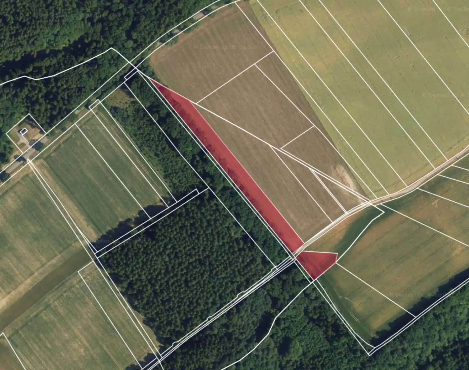 Prodej pozemku 11.401 m², Letohrad, Pardubický kraj Prodej pozemku 11.401 m², Letohrad, Pardubický kraj