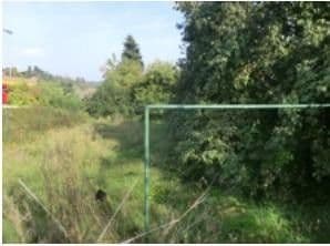 Prodej domu 160 m², pozemek 831 m², Hauptstraße 22, Leiben, Dolní Rakousko Prodej domu 160 m², pozemek 831 m², Hauptstraße 22, Leiben, Dolní Rakousko