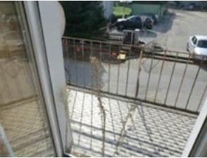 Prodej domu 160 m², pozemek 831 m², Hauptstraße 22, Leiben, Dolní Rakousko Prodej domu 160 m², pozemek 831 m², Hauptstraße 22, Leiben, Dolní Rakousko