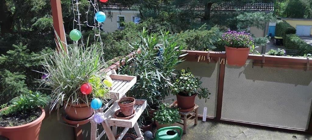 Prodej bytu 2+1 50 m², Rosa-Luxemburg-Str. 81, Bad Belzig, Braniborsko Prodej bytu 2+1 50 m², Rosa-Luxemburg-Str. 81, Bad Belzig, Braniborsko