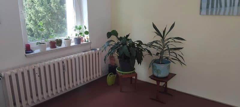 Prodej bytu 2+1 50 m², Rosa-Luxemburg-Str. 81, Bad Belzig, Braniborsko Prodej bytu 2+1 50 m², Rosa-Luxemburg-Str. 81, Bad Belzig, Braniborsko