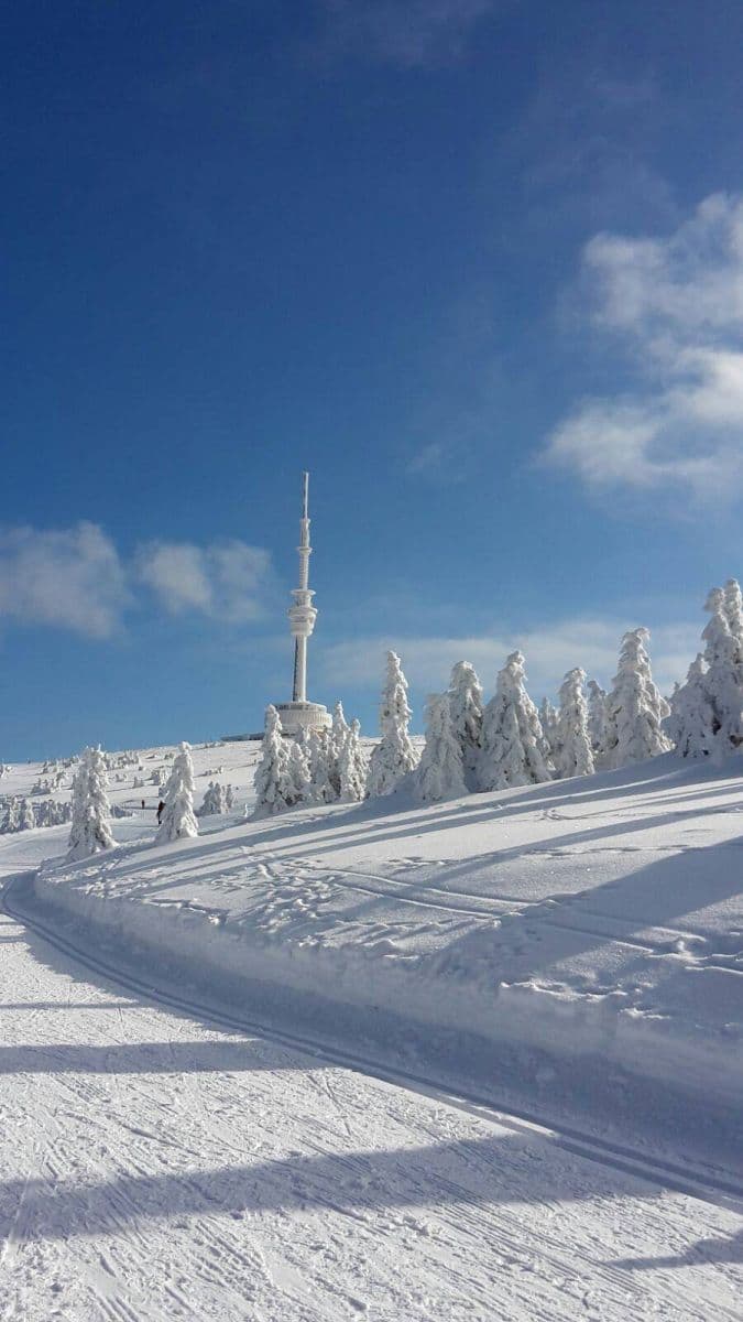Pronájem chaty, chalupy, Dolní Moravice, Moravskoslezský kraj Pronájem chaty, chalupy, Dolní Moravice, Moravskoslezský kraj