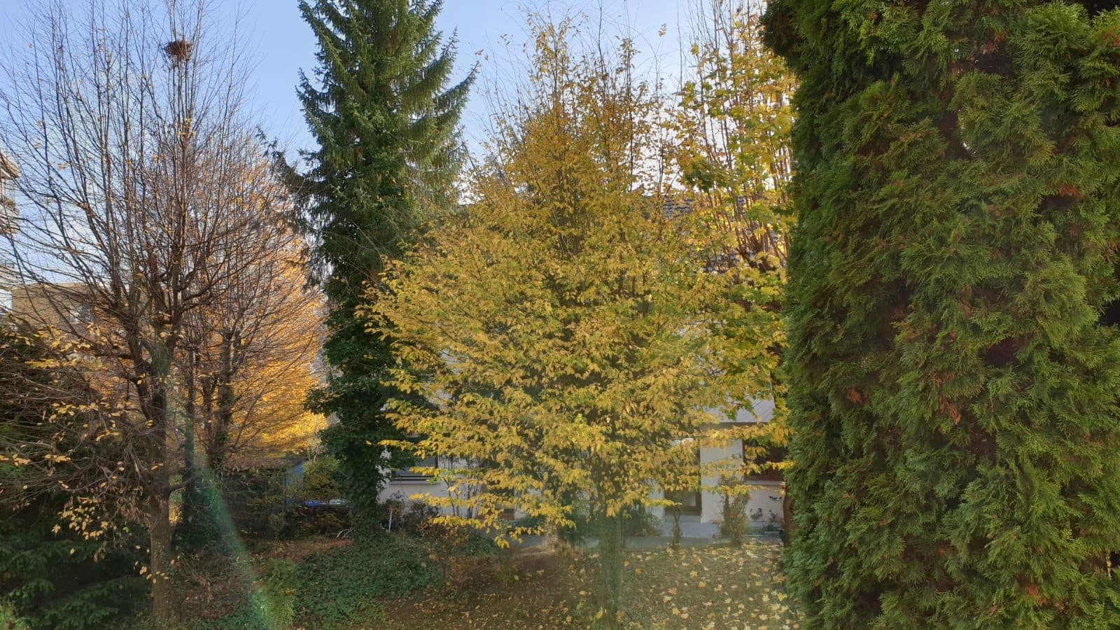 Prodej bytu 1+kk 34 m², Altensteiger Str. 4, Böblingen, Bádensko-Württembersko Prodej bytu 1+kk 34 m², Altensteiger Str. 4, Böblingen, Bádensko-Württembersko