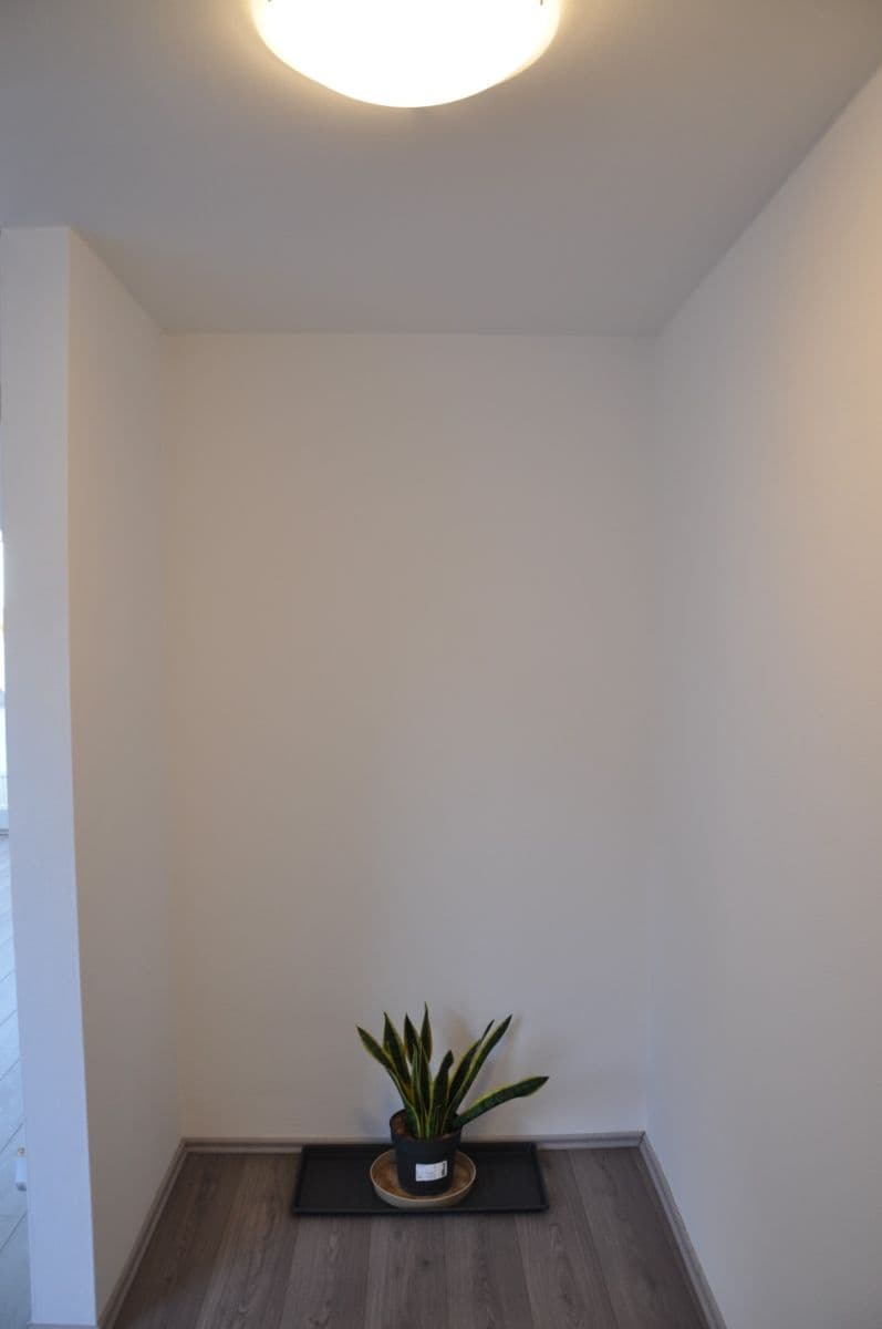 Prodej bytu 1+1 48 m², Pri píle, Hamuliakovo, Bratislavský kraj Prodej bytu 1+1 48 m², Pri píle, Hamuliakovo, Bratislavský kraj