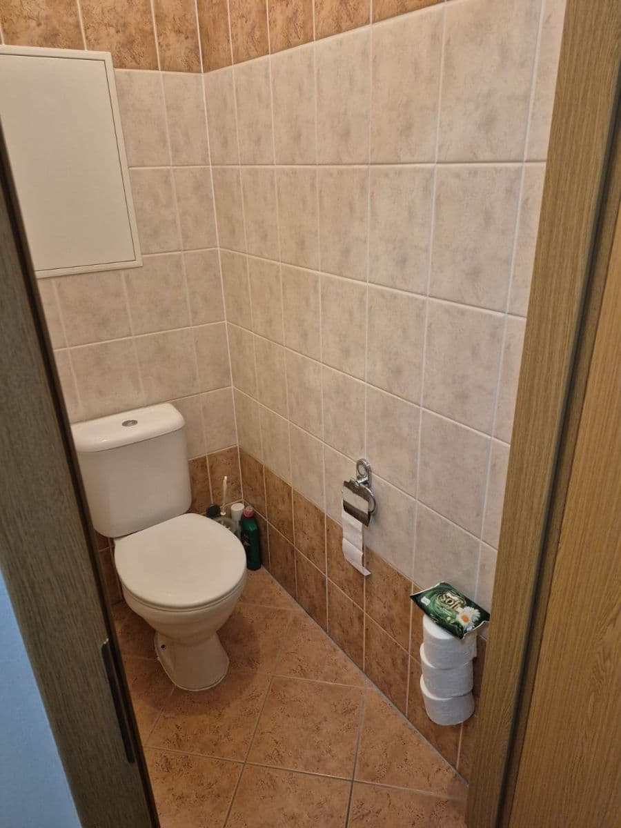 Pronájem bytu 4+kk 118 m², Dusíkova, Brno, Jihomoravský kraj Pronájem bytu 4+kk 118 m², Dusíkova, Brno, Jihomoravský kraj
