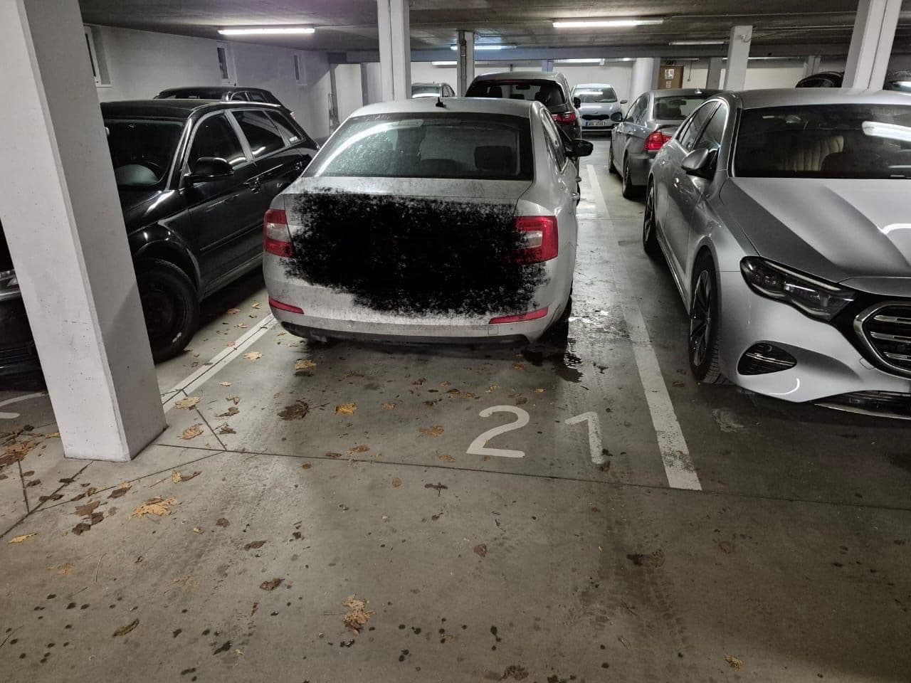 Pronájem bytu 4+kk 118 m², Dusíkova, Brno, Jihomoravský kraj Pronájem bytu 4+kk 118 m², Dusíkova, Brno, Jihomoravský kraj