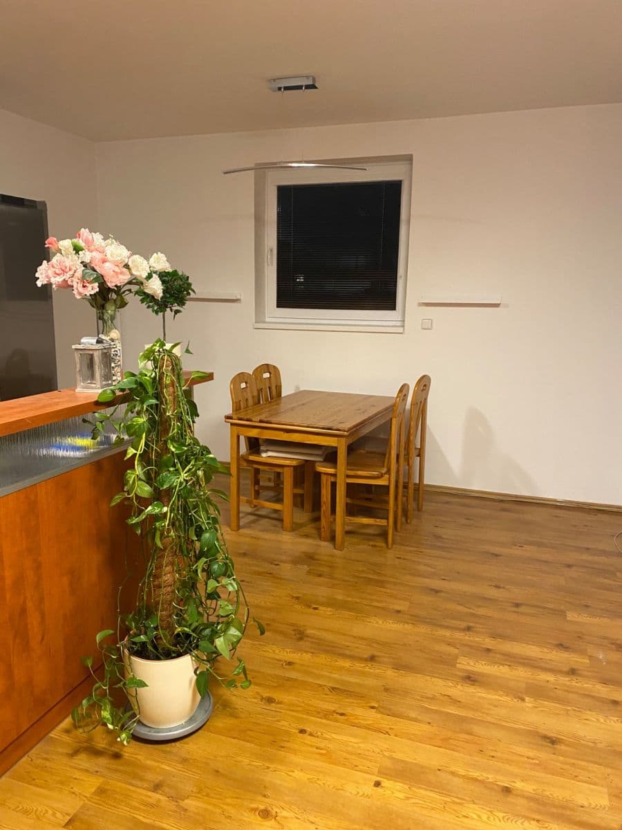 Pronájem bytu 4+kk 118 m², Dusíkova, Brno, Jihomoravský kraj Pronájem bytu 4+kk 118 m², Dusíkova, Brno, Jihomoravský kraj