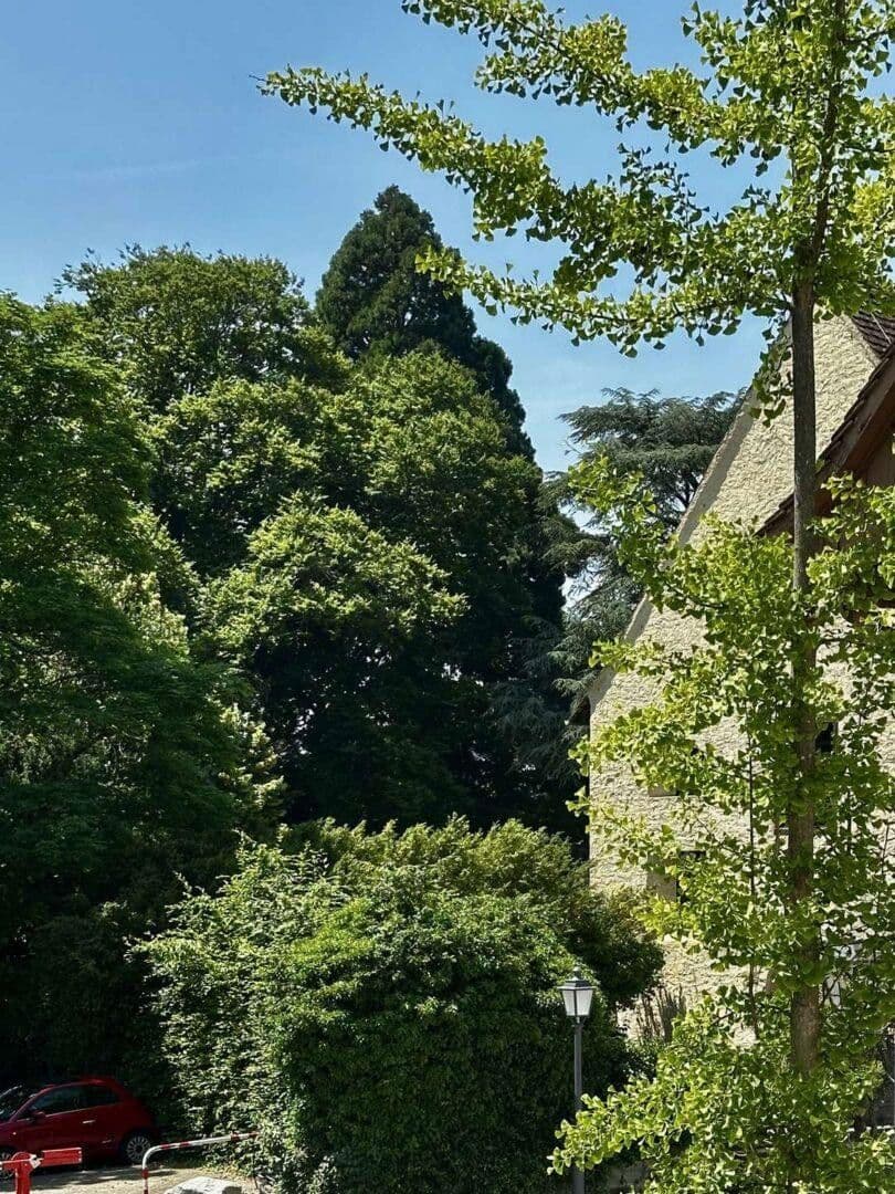 Prodej bytu 2+1 72 m², Christophstraße 8, Überlingen, Bádensko-Württembersko Prodej bytu 2+1 72 m², Christophstraße 8, Überlingen, Bádensko-Württembersko