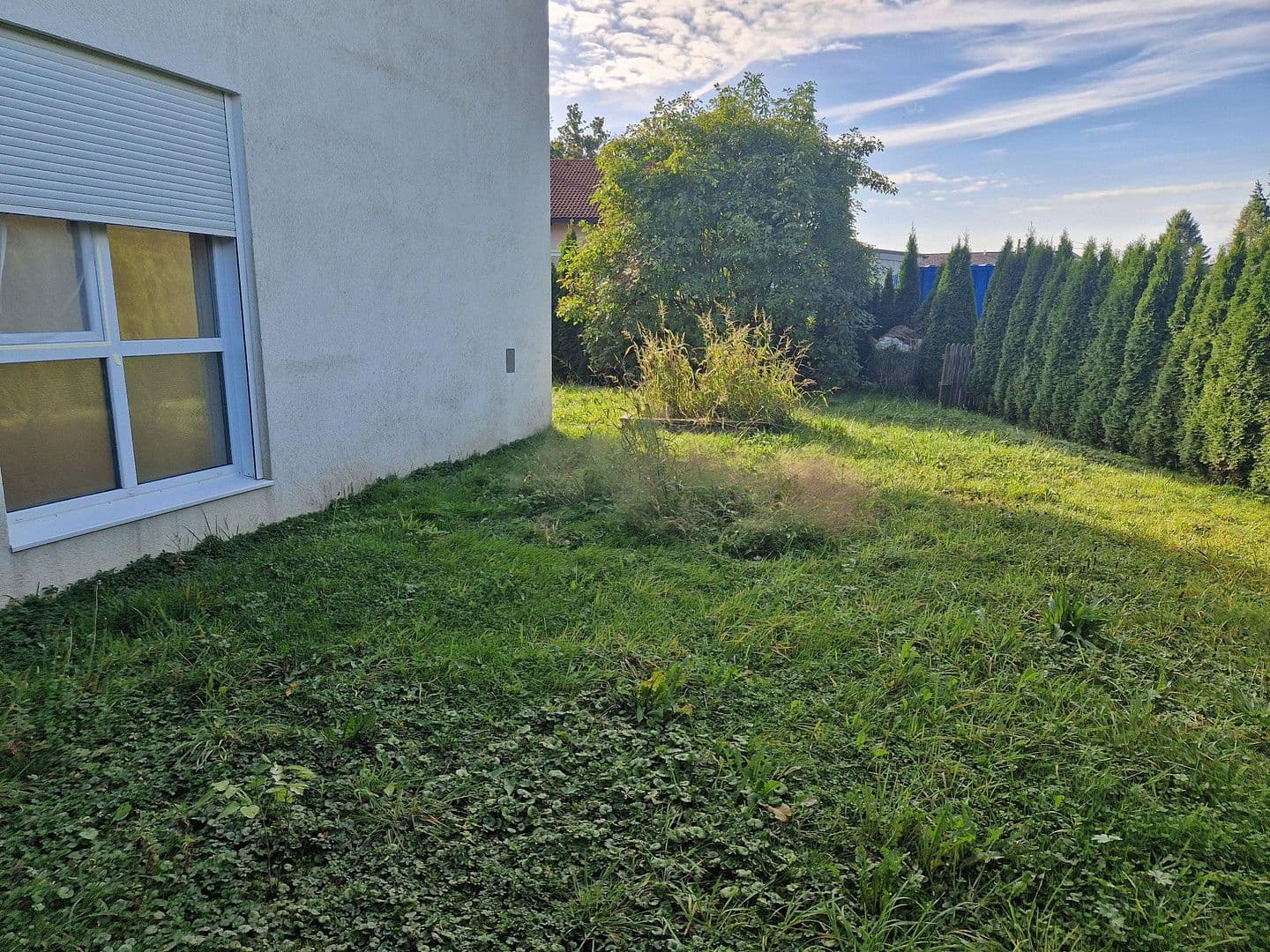 Pronájem bytu 2+1 56 m², Aurolzmünster, Horní Rakousko Pronájem bytu 2+1 56 m², Aurolzmünster, Horní Rakousko