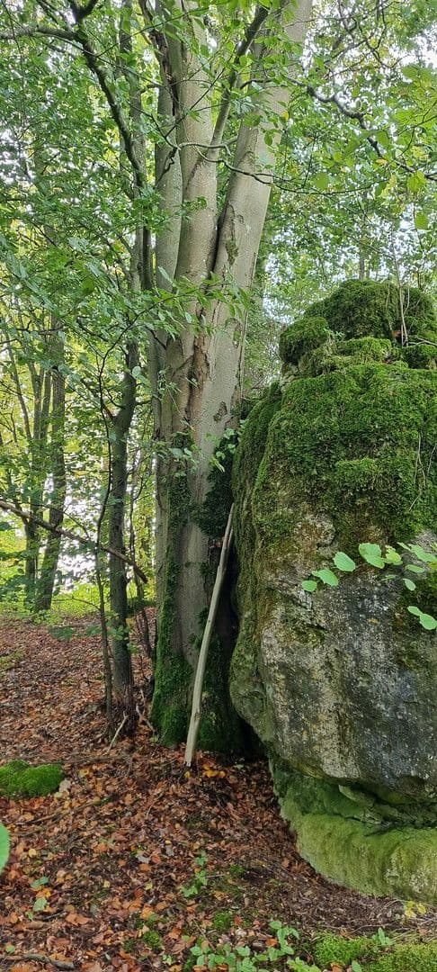 Prodej domu 96 m², pozemek 1.000 m², Waischenfeld, Bavorsko Prodej domu 96 m², pozemek 1.000 m², Waischenfeld, Bavorsko