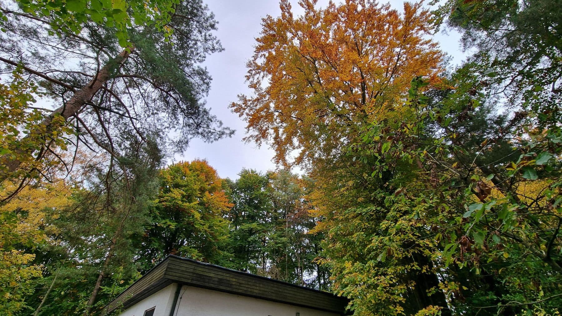 Prodej domu 96 m², pozemek 1.000 m², Waischenfeld, Bavorsko Prodej domu 96 m², pozemek 1.000 m², Waischenfeld, Bavorsko