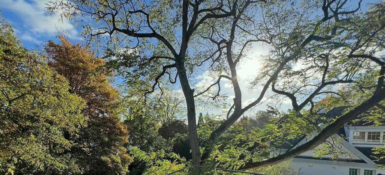 Pronájem kanceláře 75 m², Robert-Heuser-Str. 15, Köln, Severní Porýní-Vestfálsko Pronájem kanceláře 75 m², Robert-Heuser-Str. 15, Köln, Severní Porýní-Vestfálsko