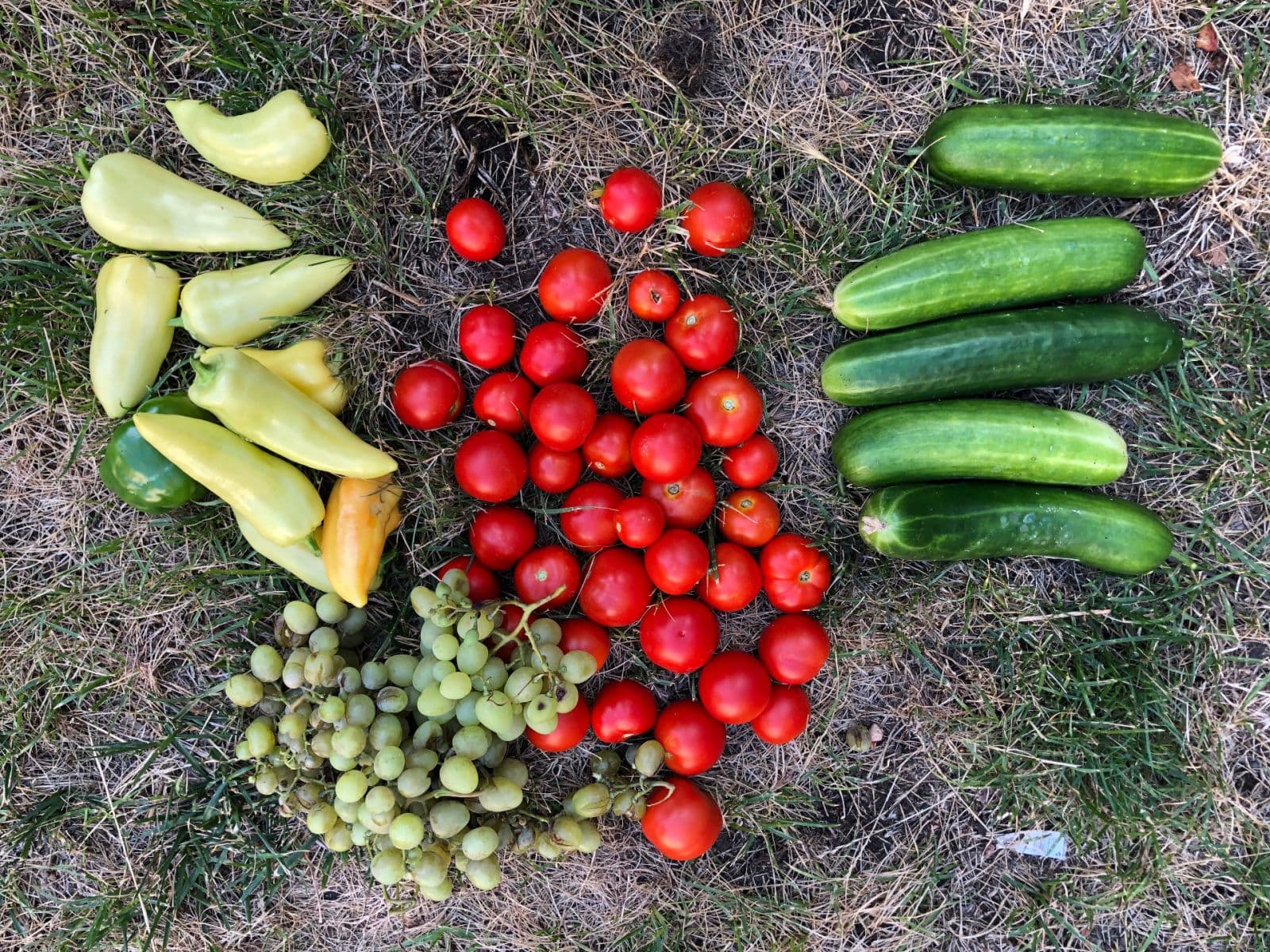 Prodej bytu 1+kk 55 m², Kodaňská, Praha, Praha Prodej bytu 1+kk 55 m², Kodaňská, Praha, Praha