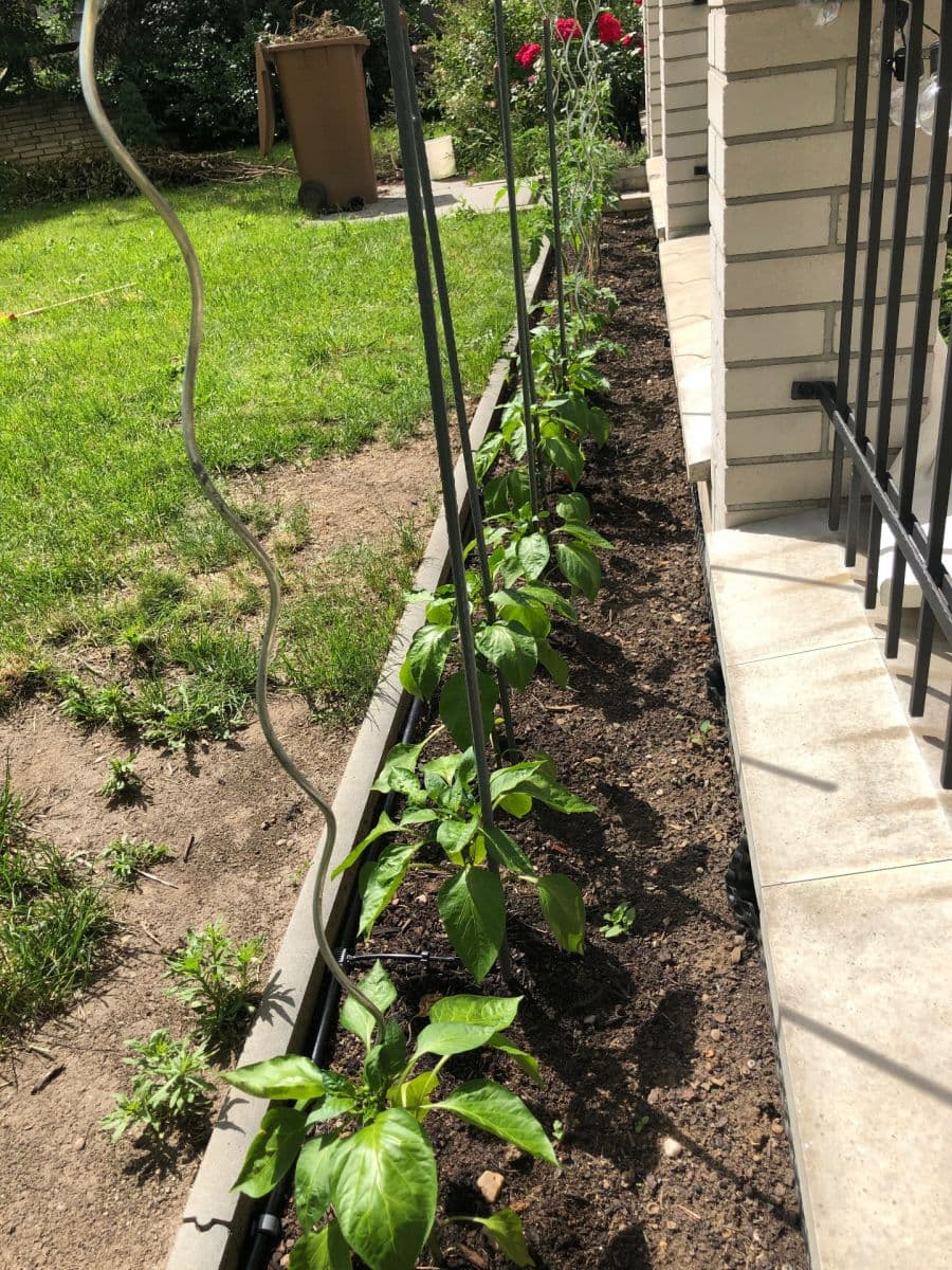 Prodej bytu 1+kk 55 m², Kodaňská, Praha, Praha Prodej bytu 1+kk 55 m², Kodaňská, Praha, Praha