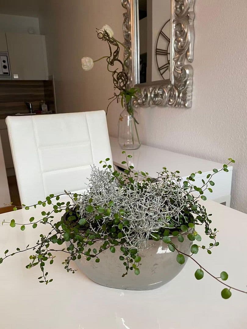 Pronájem bytu 2+1 55 m², Mannheim, Bádensko-Württembersko Pronájem bytu 2+1 55 m², Mannheim, Bádensko-Württembersko